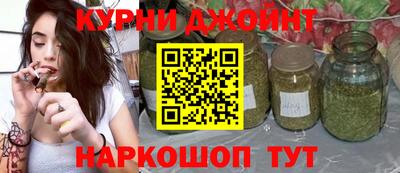гашик Дубна