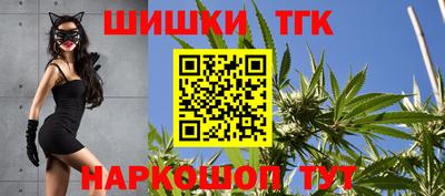 гашик Дубна