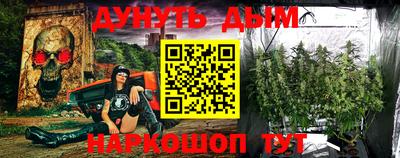 гашик Дубна