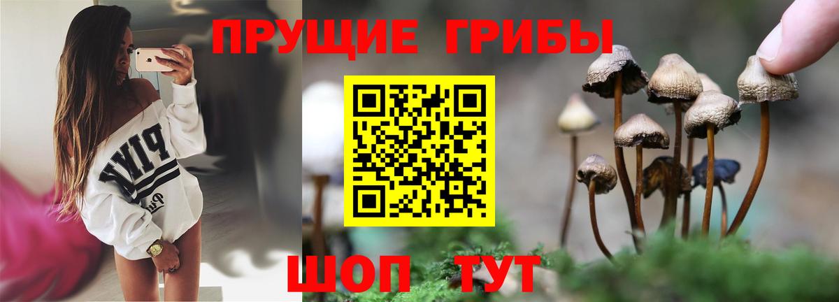 Галлюциногенные грибы GOLDEN TEACHER  сколько стоит  Ликино-Дулёво  Вход с VPN  Псилоцибиновые грибы MAGIC MUSHROOMS 