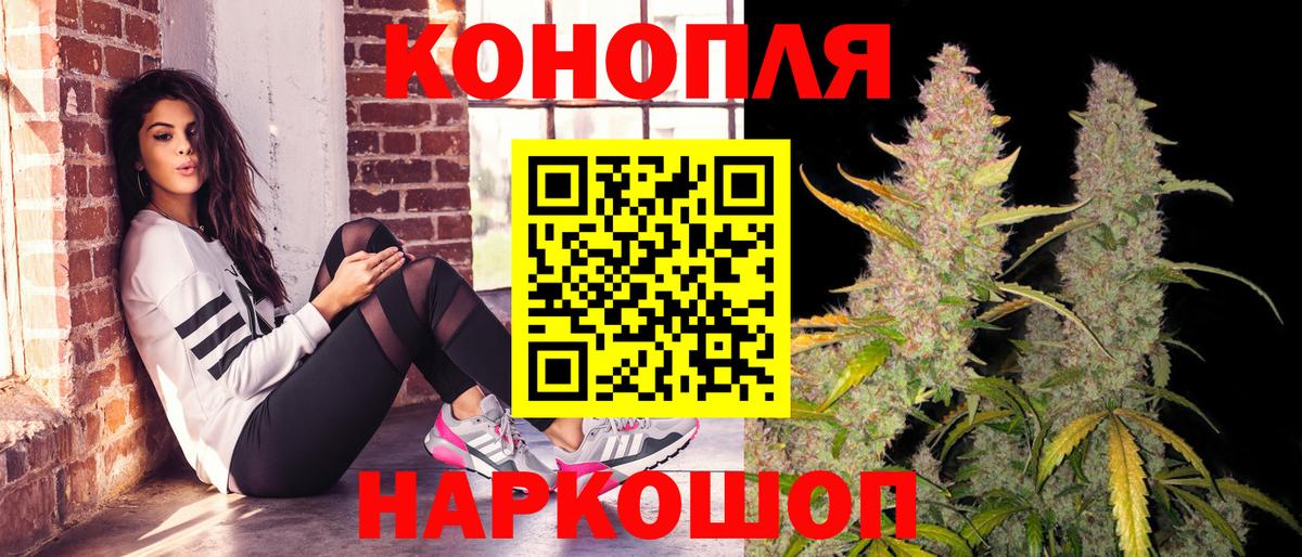 Бошки марихуана семена  МАРИХУАНА White Widow  Ликино-Дулёво  Вход с VPN 